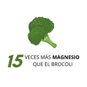 BROCOLI 1